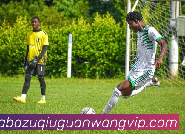 沙巴体育平台生态图