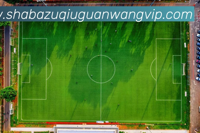 沙巴体育APP 封面图